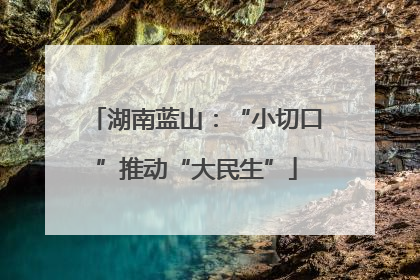湖南蓝山：“小切口”推动“大民生”